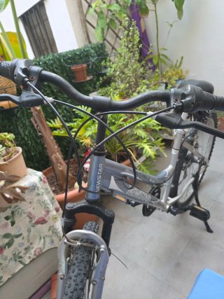 Bicicleta NEWSTAR gris