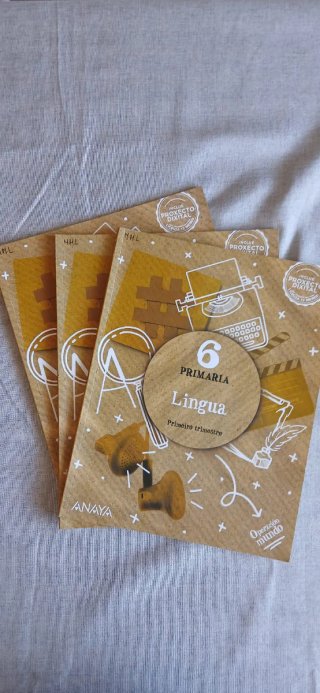 Libros 6° Primaria