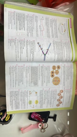 Libros de segundo de bachillerato