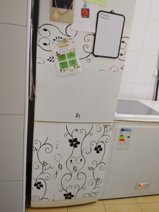 Congelador y frigorífico