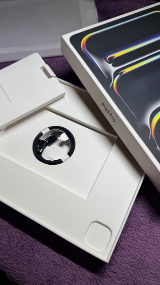 iPad Pro 13 (M4) Wifi + Celular en Caja