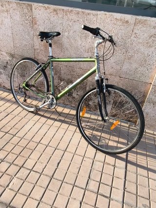 Bicicleta de ciudad verde tornasol marca BH