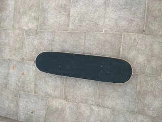 Skate Oxelo Diseño Lobo