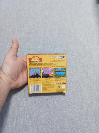 The Lion King Game Boy Color
