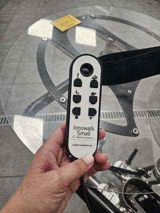 Innowalk Small 2022