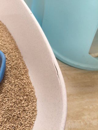 Arenero para gato azul