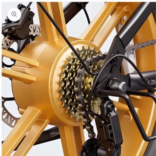 Apex Fat Bike Eléctrica 250W Doble Batería