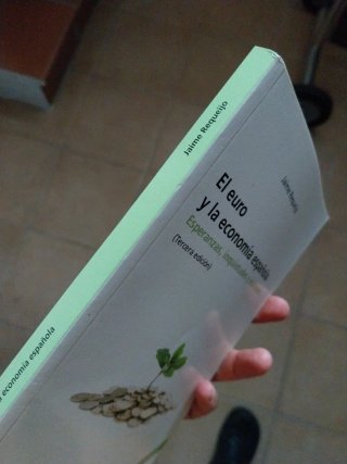 El euro y la economía española