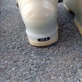 Esquís de alpino, botas y bastones de esquí