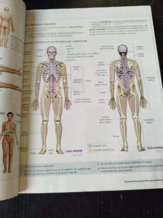 Anatomía aplicada