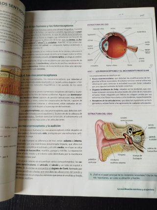 Anatomía aplicada