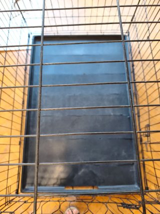 Jaula Perros XL
