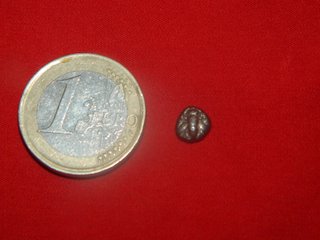 Obol Griego Ionia Ephesos 550 AC Plata