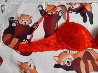 Reggiseno rosso in pizzo tg5 italiana + estensore