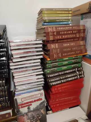 Gran lote libros y más
