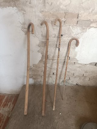 Gayatas / Bastones de Pastor Antiguos