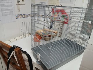 Jaula canario/periquito nueva. Regalo el alpiste