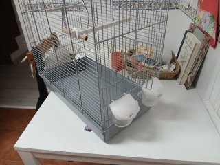 Jaula canario/periquito nueva. Regalo el alpiste