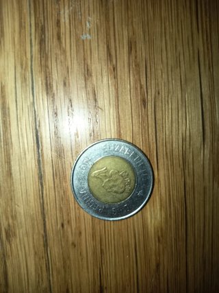 Moneda con escudo y borde plateado