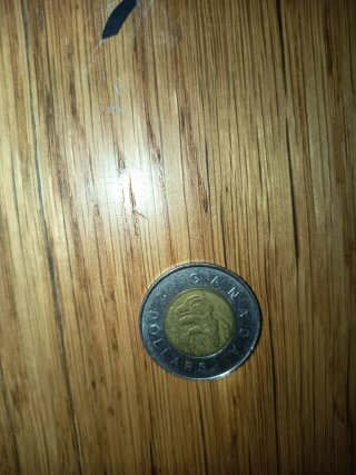 Moneda con escudo y borde plateado