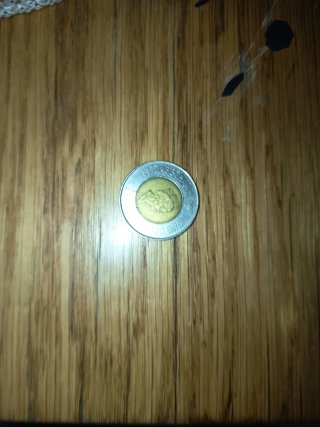 Moneda con escudo y borde plateado