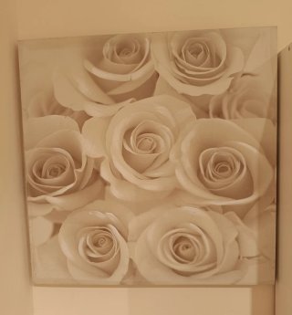 Cuadro Lienzo Flores