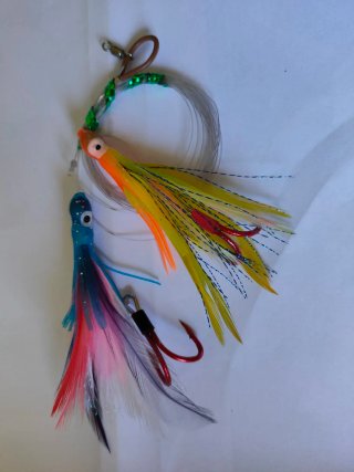 Pluma curricán atún depredador