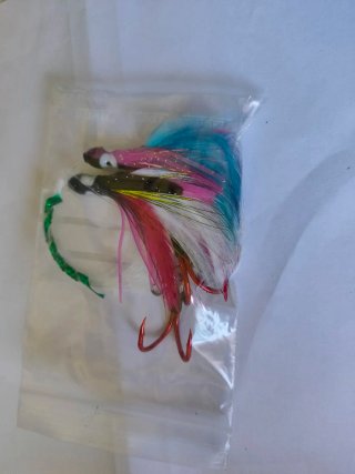 Pluma curricán atún depredador