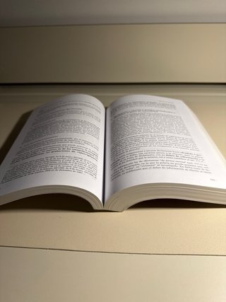 Manual de Derecho Procesal Penal. 2ª edición 2018
