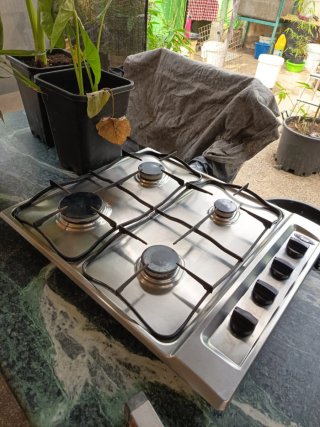 Placa de cocina a gas 4 fuegos