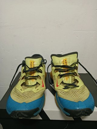 Zapatillas Nike Trail Terra Kiger