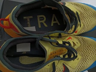 Zapatillas Nike Trail Terra Kiger