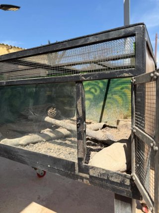 Terrario Jaula con Ruedas y Puertas