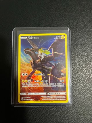 Zekrom Trainer Gallery