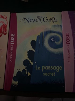 Disney livres