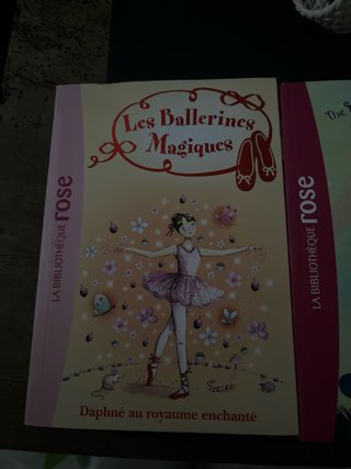 Disney livres