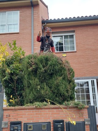 Gardenero