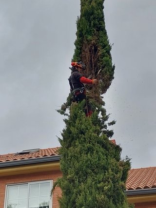 Gardenero