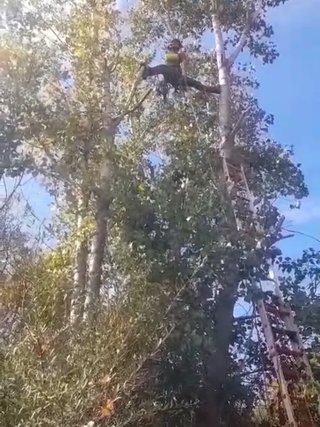Gardenero
