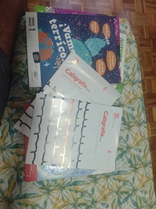 Libros 1 primaria, Edelvives