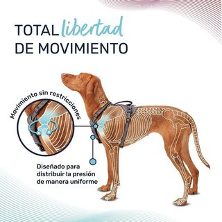 Arnés Halti Anatomy Perro Asa Negro/Gris