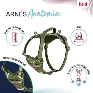 Arnés Halti Anatomy Perro Asa Negro/Gris