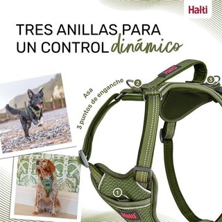 Arnés Halti Anatomy Perro Asa Negro/Gris