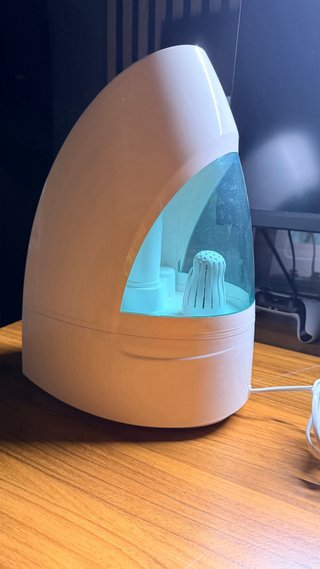 Humidificador blanco y transparente