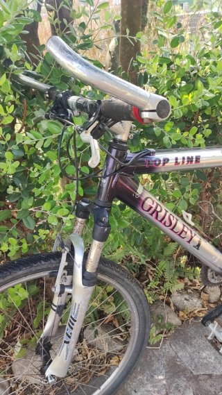 Bicicleta de Montaña Grisley Top Line
