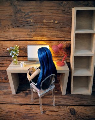 Muebles y Accesorios Barbie