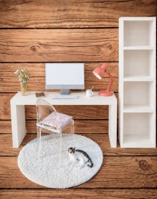 Muebles y Accesorios Barbie