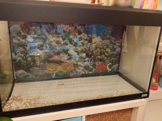 Acuario 150L con filtro fluvial y luz Regalo muebl