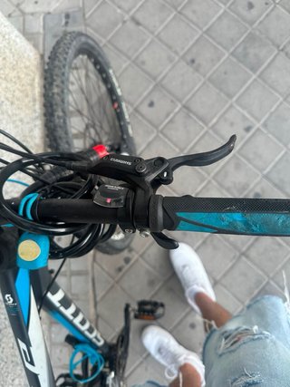 Bicicleta de montaña