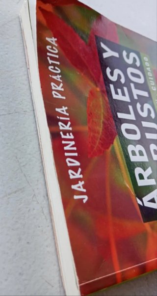 Arboles y arbustos.